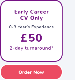 Early Career Package - CV Only